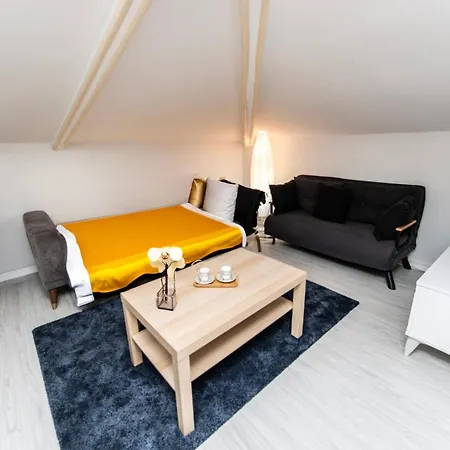 Dach Wochnung Mit Großer Terrasse