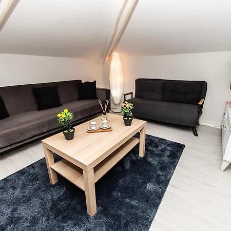 Dach Wochnung Mit Großer Terrasse